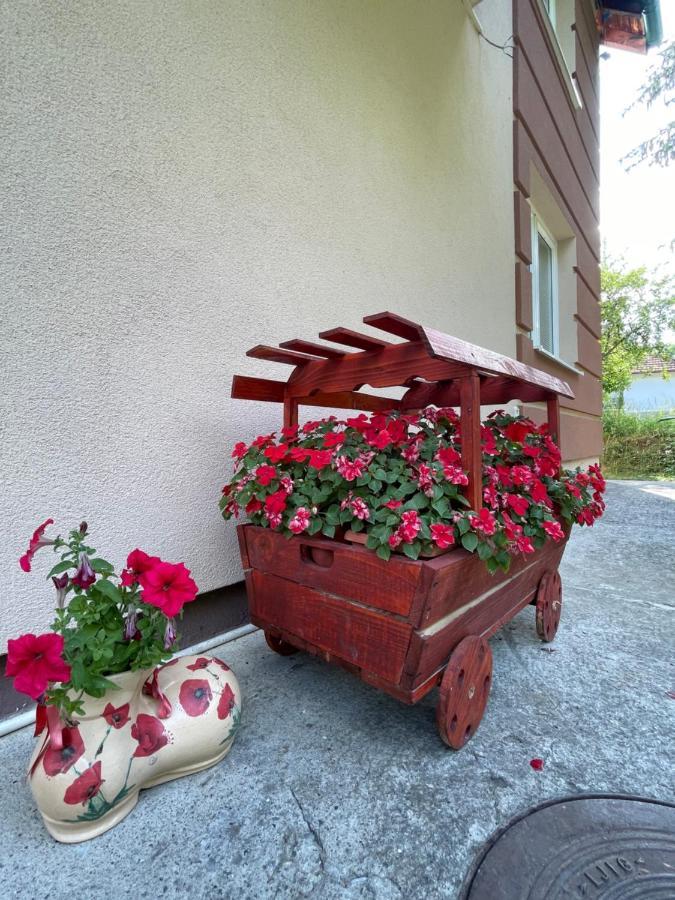 Apartments Radovic Kolasin Luaran gambar