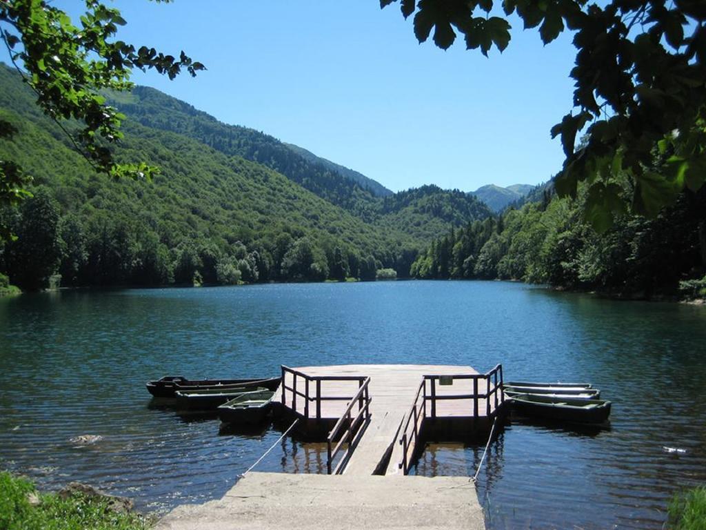 Apartments Radovic Kolasin Luaran gambar