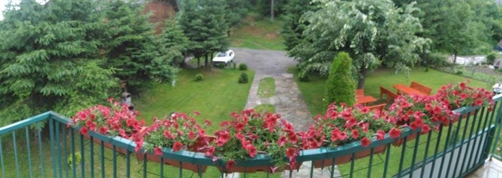 Apartments Radovic Kolasin Luaran gambar