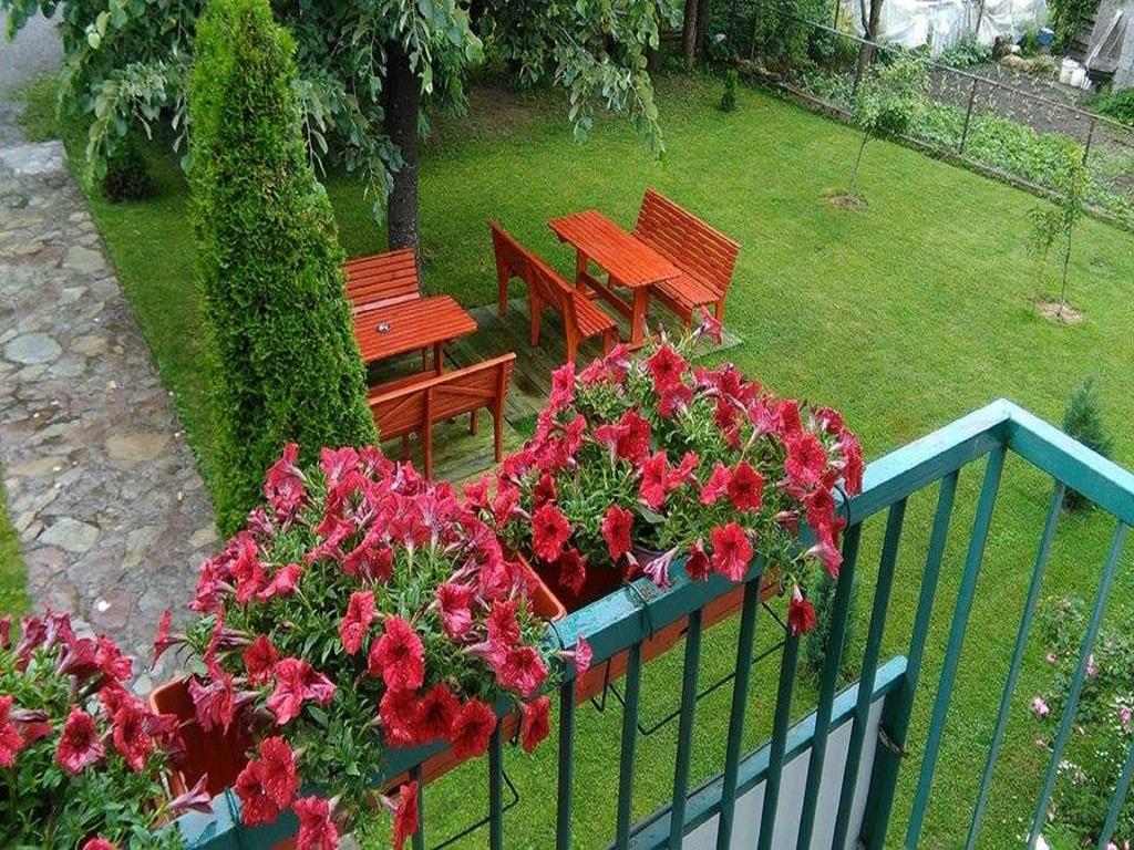 Apartments Radovic Kolasin Luaran gambar